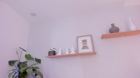 Scarlett Morgan online show from February 28, 2025, 2:31 am