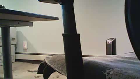 Snapshot of scottie813 chatting on December 12, 2024, 8:32 pm scottie813 online show from December 12, 2024, 8:32 pm