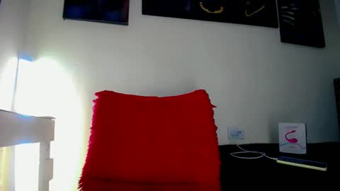 Sebastian online show from November 11, 2025, 3:12 pm