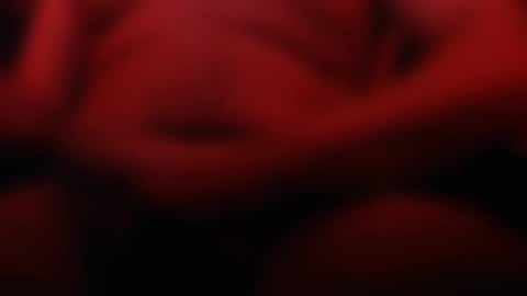 Snapshot of sebiche_ma_biche chatting on March 9, 2025, 2:50 am Apple online show from March 9, 2025, 2:50 am