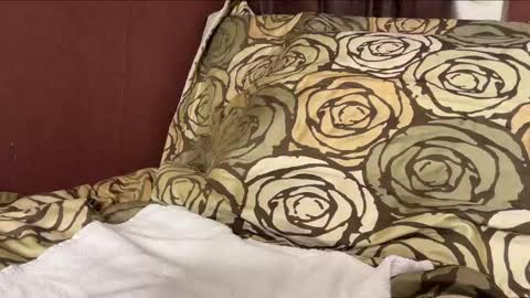 Hennriette    and Sebastian     online show from December 29, 2024, 6:27 pm