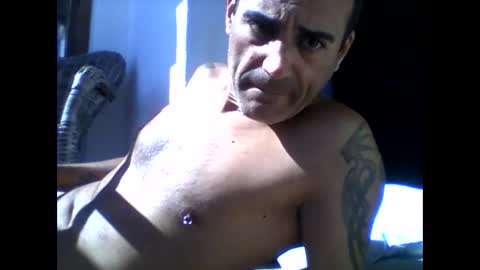 Snapshot of servamp77 chatting on October 8, 2025, 11:08 am servamp77 online show from October 8, 2025, 11:08 am