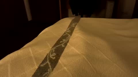 Snapshot of sevenorder chatting on January 24, 2025, 7:51 am sevenorder online show from January 24, 2025, 7:51 am