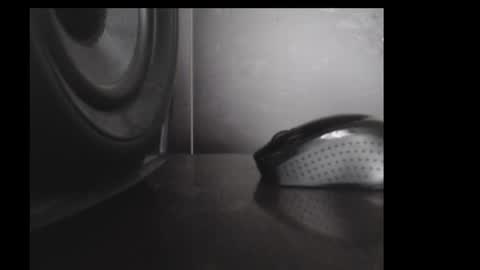 Daniel Taylor online show from November 15, 2025, 12:23 pm