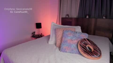Snapshot of sexicanela99 chatting on December 11, 2024, 1:49 pm ... Camila ... online show from December 11, 2024, 1:49 pm