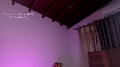 Snapshot of sexicanela99 chatting on January 8, 2025, 4:11 pm ... Camila ... online show from January 8, 2025, 4:11 pm