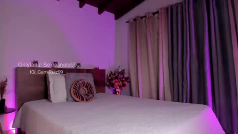 Snapshot of sexicanela99 chatting on February 19, 2025, 1:17 pm ... Camila ... online show from February 19, 2025, 1:17 pm