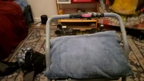 Snapshot of sexy_cayden chatting on January 23, 2025, 11:58 am Cayden online show from January 23, 2025, 11:58 am