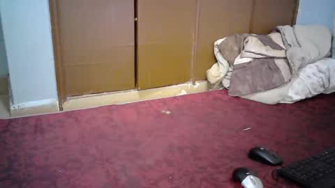 sexy_lunah online show from December 19, 2024, 2:57 pm