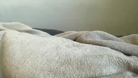 ALAYA  online show from November 29, 2025, 11:13 am