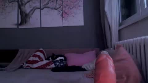 Snapshot of sexyella25 chatting on January 29, 2025, 11:56 pm .... ............ Onlyfans online show from January 29, 2025, 11:56 pm