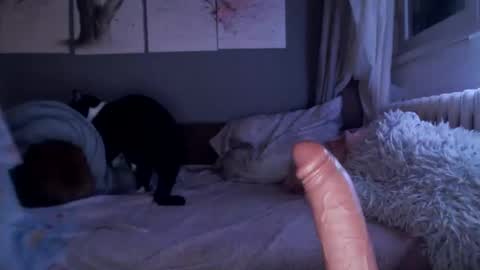 Snapshot of sexyella25 chatting on February 21, 2025, 10:04 pm .... ............ Onlyfans online show from February 21, 2025, 10:04 pm