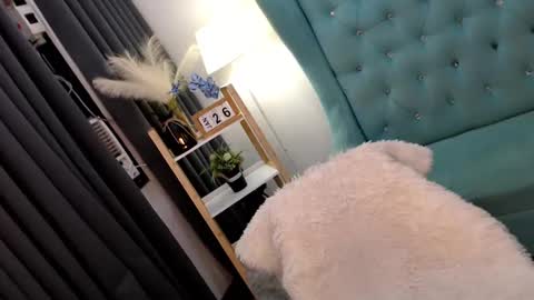 JENNY online show from January 26, 2025, 6:28 am