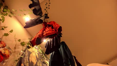 shadow_raffi online show from November 7, 2025, 3:50 am