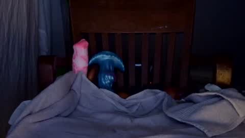 Snapshot of shakespeareisahomie chatting on November 5, 2025, 12:10 am shakespeareisahomie online show from November 5, 2025, 12:10 am