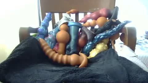 Snapshot of shakespeareisahomie chatting on November 16, 2025, 3:06 pm shakespeareisahomie online show from November 16, 2025, 3:06 pm