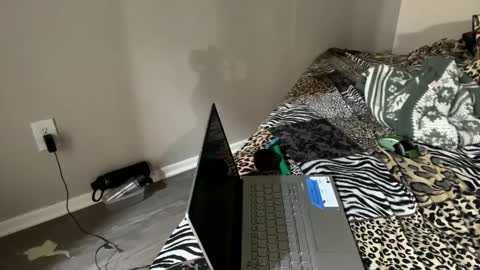 Snapshot of shamanwoman chatting on December 2, 2024, 1:14 am Shaman Woman online show from December 2, 2024, 1:14 am