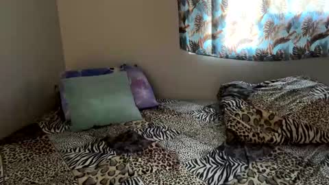 Snapshot of shamanwoman chatting on December 6, 2024, 5:11 pm Shaman Woman online show from December 6, 2024, 5:11 pm