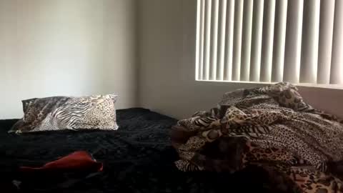 Snapshot of shamanwoman chatting on December 25, 2024, 8:07 pm Shaman Woman online show from December 25, 2024, 8:07 pm