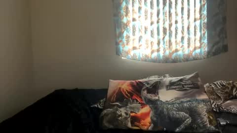 Snapshot of shamanwoman chatting on December 27, 2024, 7:24 pm Shaman Woman online show from December 27, 2024, 7:24 pm