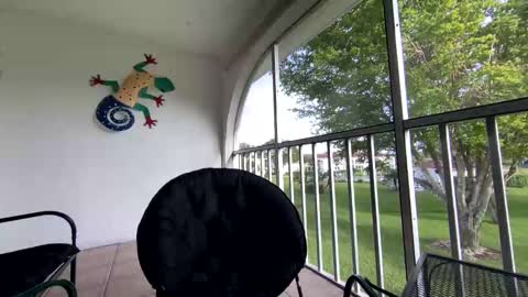 Shannon Spears online show from January 5, 2025, 8:52 pm