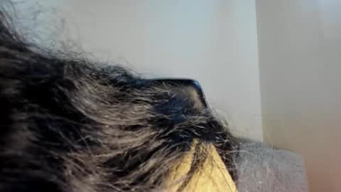 Snapshot of shara_jones chatting on October 10, 2025, 5:06 am Sara online show from October 10, 2025, 5:06 am