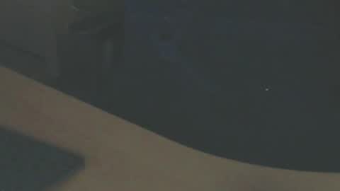 Snapshot of shaved164 chatting on February 14, 2025, 4:52 pm Frans online show from February 14, 2025, 4:52 pm