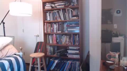 sheepishlion online show from December 7, 2024, 1:51 pm