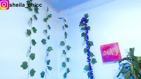 Snapshot of sheila_bigcok chatting on December 9, 2024, 7:39 pm SHEILA online show from December 9, 2024, 7:39 pm