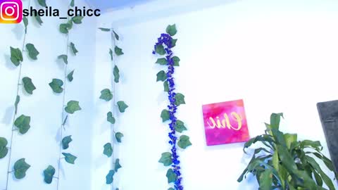 Snapshot of sheila_bigcok chatting on December 9, 2024, 10:52 pm SHEILA online show from December 9, 2024, 10:52 pm