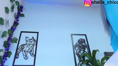 Snapshot of sheila_bigcok chatting on February 25, 2025, 12:36 am SHEILA online show from February 25, 2025, 12:36 am