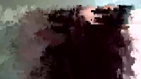 Snapshot of shelfeesh chatting on November 18, 2025, 9:36 am shelfeesh online show from November 18, 2025, 9:36 am