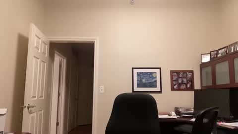 Snapshot of showmet chatting on February 16, 2025, 4:31 am Chicago Guy online show from February 16, 2025, 4:31 am