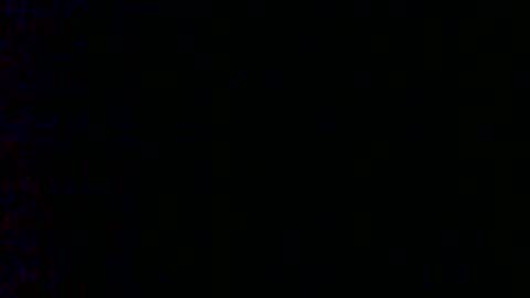 Bambi online show from February 6, 2025, 9:11 am