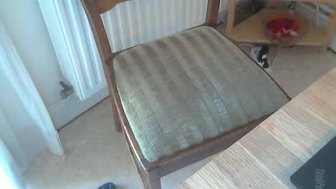 Seba online show from March 4, 2025, 11:19 am