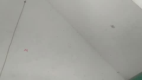 Snapshot of sidney295589 chatting on March 10, 2025, 5:54 am Spicy Sidney online show from March 10, 2025, 5:54 am