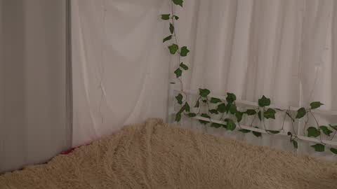 Chilli online show from January 6, 2025, 1:41 pm