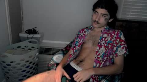 Snapshot of silly_cybin chatting on January 17, 2025, 11:17 am cybin online show from January 17, 2025, 11:17 am