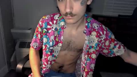 Snapshot of silly_cybin chatting on January 20, 2025, 1:11 pm cybin online show from January 20, 2025, 1:11 pm