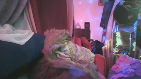 Snapshot of siofra chatting on February 24, 2025, 2:19 am Siofra online show from February 24, 2025, 2:19 am