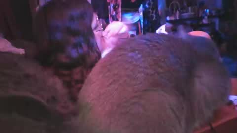 Snapshot of siofra chatting on March 6, 2025, 9:25 am Siofra online show from March 6, 2025, 9:25 am