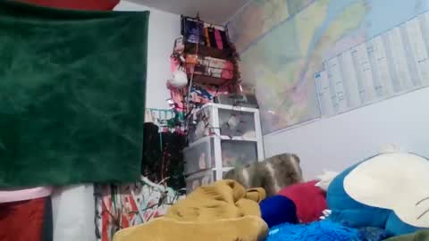 Snapshot of siofra chatting on September 14, 2025, 2:22 am Siofra online show from September 14, 2025, 2:22 am