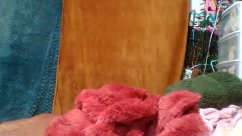 Snapshot of siofra chatting on November 16, 2025, 4:51 am Siofra online show from November 16, 2025, 4:51 am