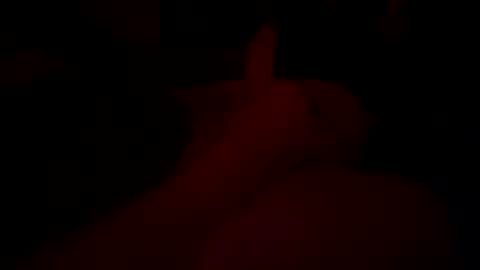 Snapshot of sir04 chatting on October 21, 2025, 5:08 am sir04 online show from October 21, 2025, 5:08 am