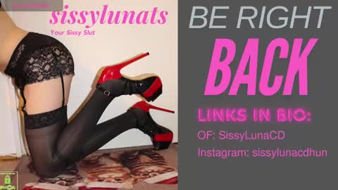 SissyLunaTS online show from December 31, 2024, 8:04 am