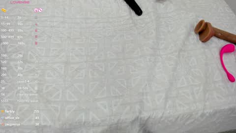 Snapshot of skinny_lilly chatting on December 20, 2024, 10:22 pm lilly online show from December 20, 2024, 10:22 pm