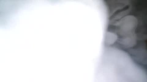 skyonetoo3 online show from October 21, 2025, 10:21 pm