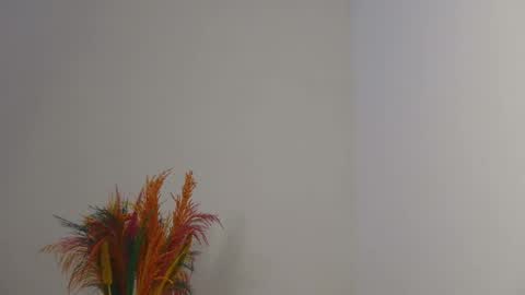 Bella online show from February 3, 2025, 3:38 pm