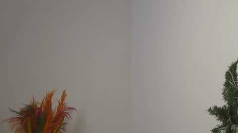 Bella online show from February 4, 2025, 12:08 am