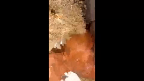 Snapshot of slapaho666 chatting on October 3, 2025, 3:03 am slapaho666 online show from October 3, 2025, 3:03 am